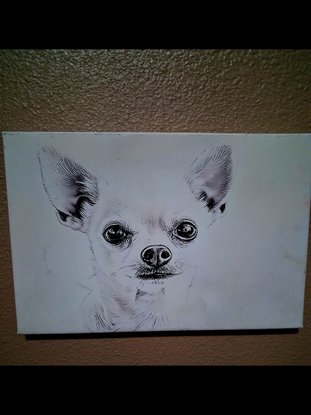 Chihuahua Sketch Wall Art - White & Black